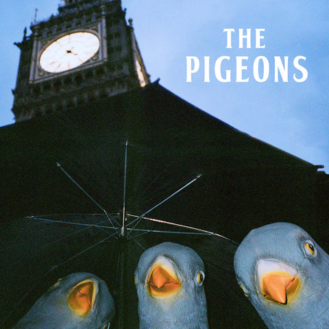 The Pigeons "Bird Brain Gang " Vinyl