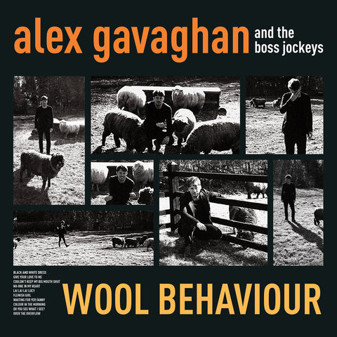 Vinyl of  Wool Behaviour by Alex Gavaghan And The Boss Jockeys