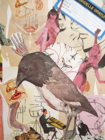 Miam collage 59
